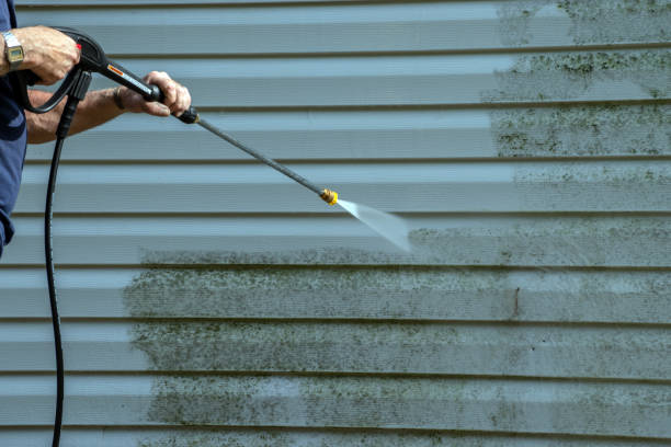 Best Patio and Deck Pressure Washing  in Center Moriches, NY